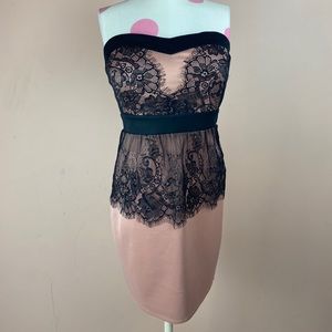 Lace Trimmed Strapless Dress